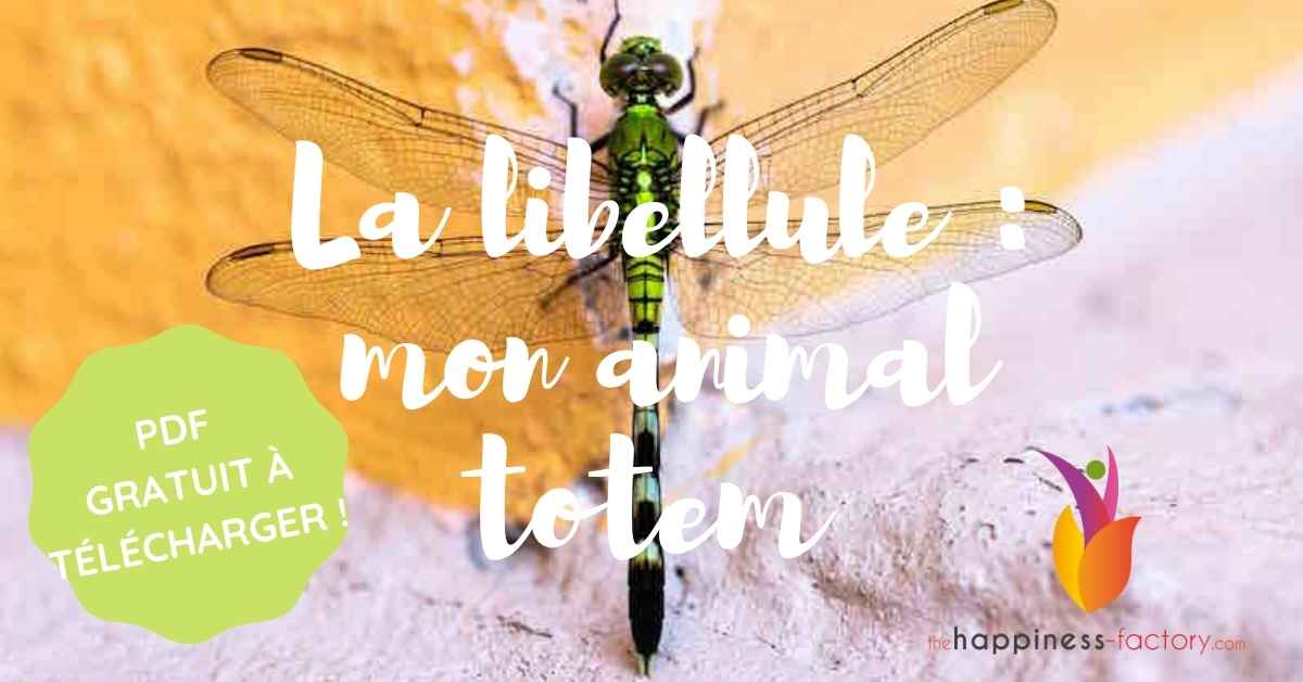 Libellule animal totem
