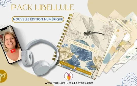 presentation-pack-libellule